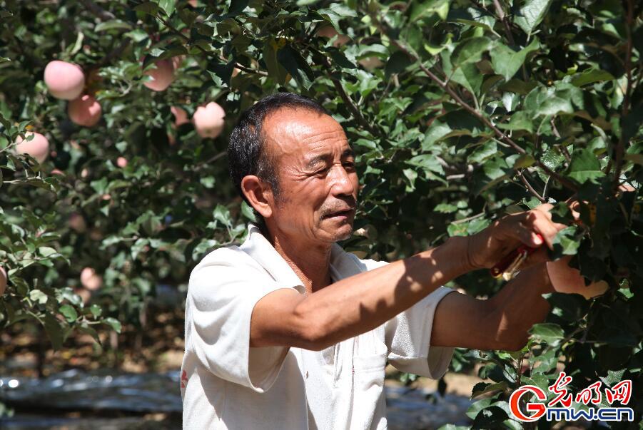 从“想吃顿饱饭”到“日子好过了”，改革开放40年——“穷”老汉奔小康