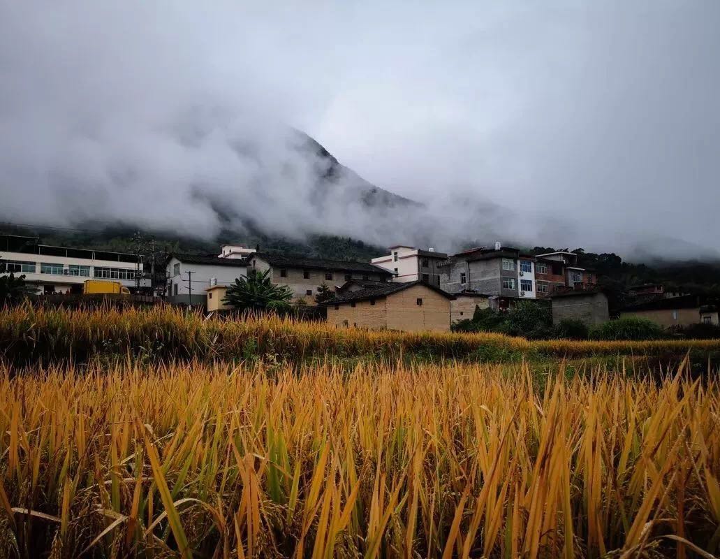 雨后.jpg