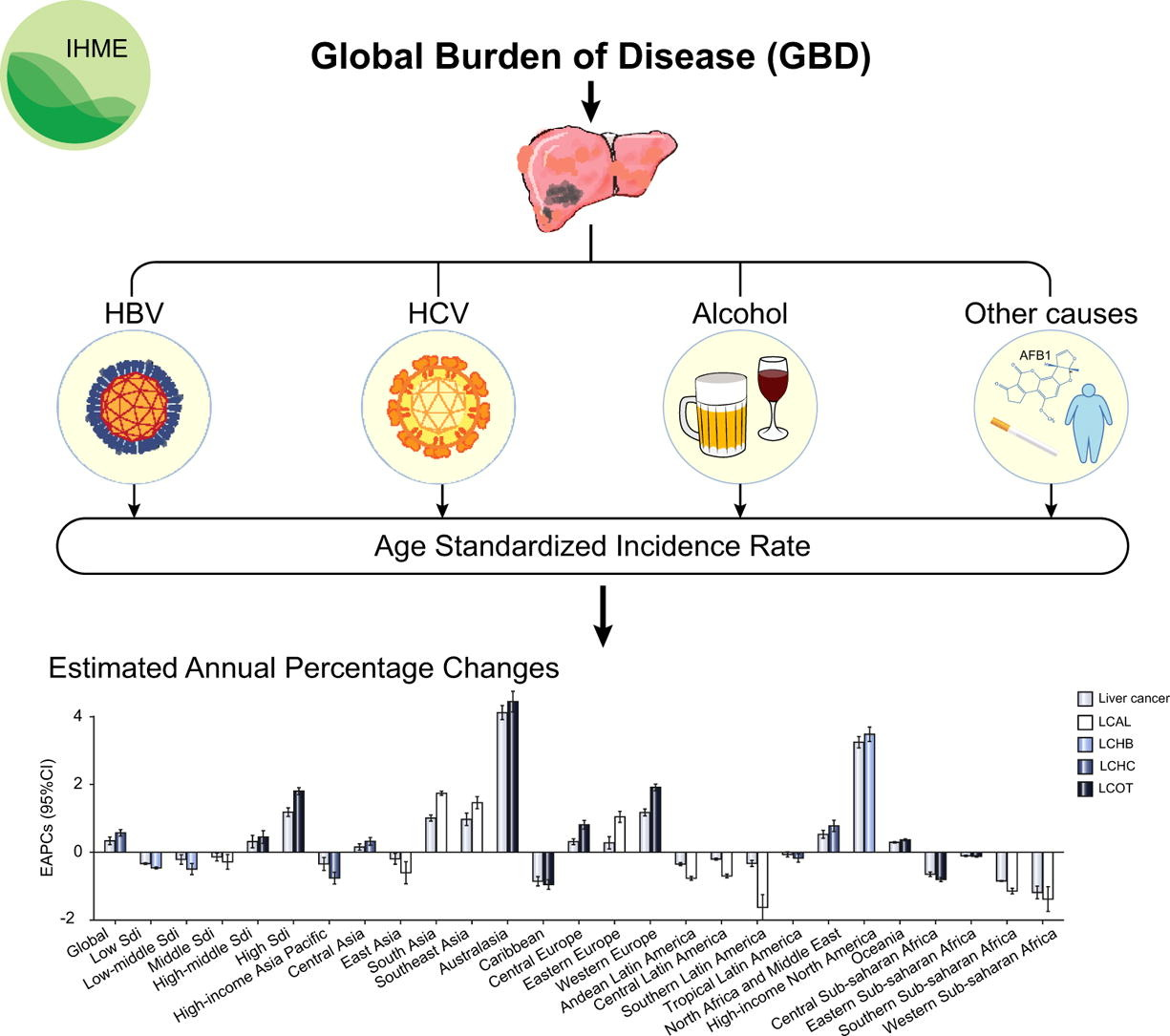 全球不同地区肝癌发病模式及主要病因存在显著差异.png