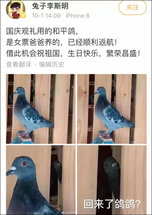 小迷糊.jpg