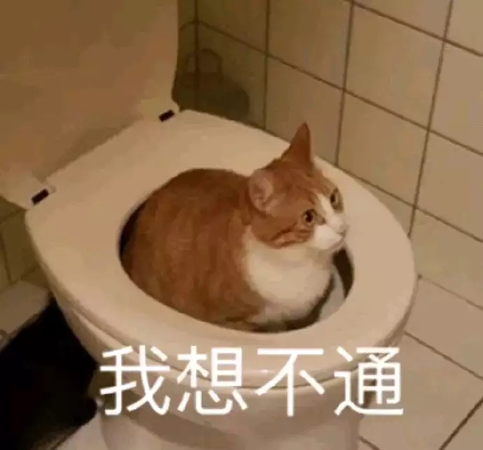 我想不通（猫咪蹲马桶里）