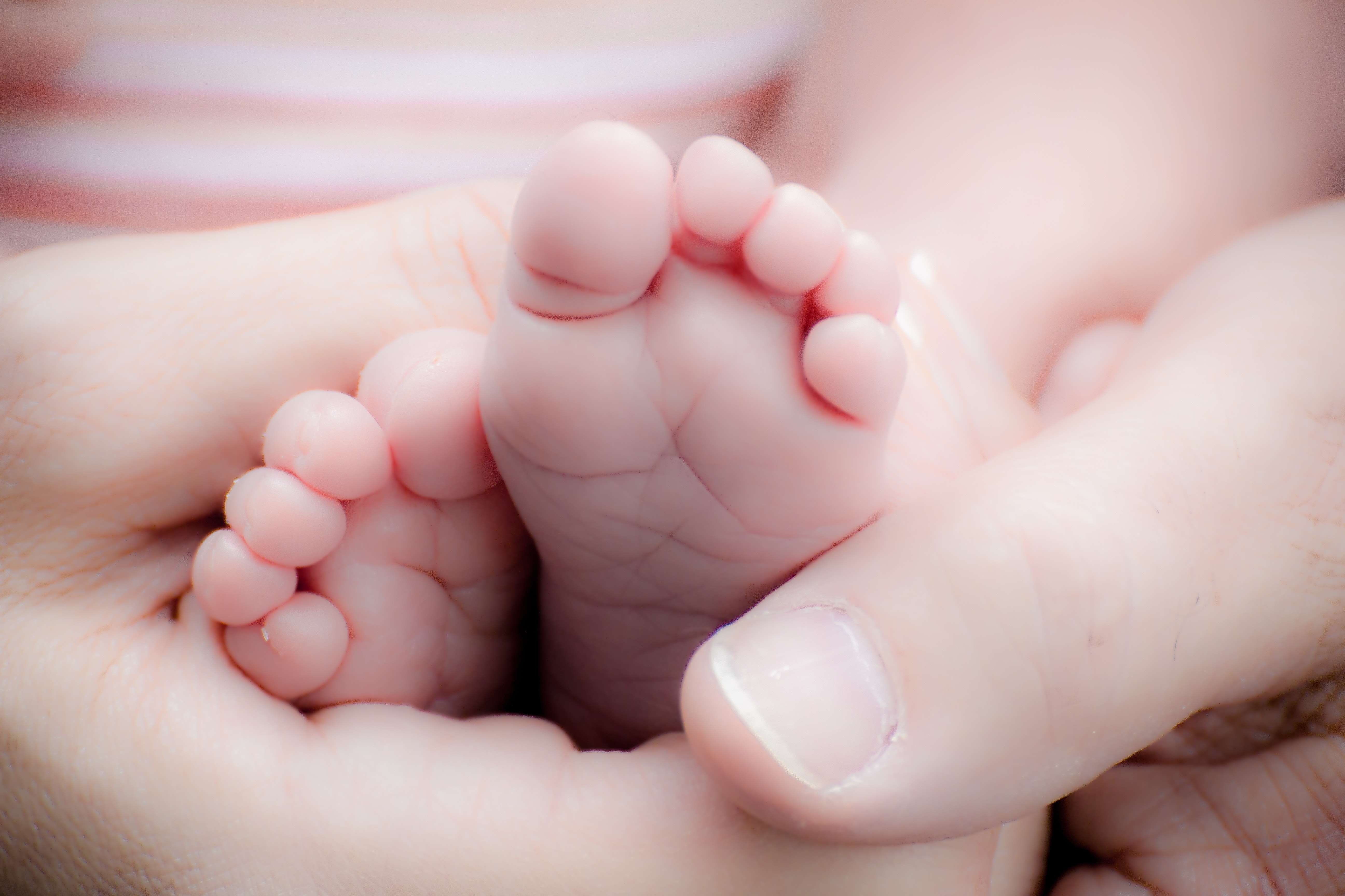 adorable-baby-baby-feet-beautiful-266011.jpg