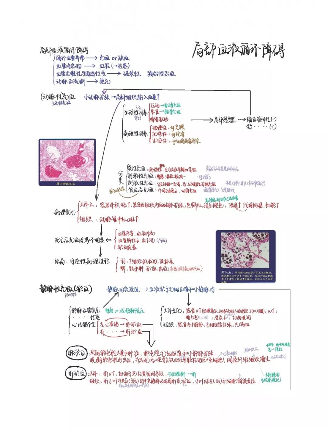 微信图片_20191220132117.jpg