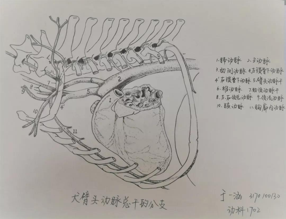 微信图片_20191220132125.jpg