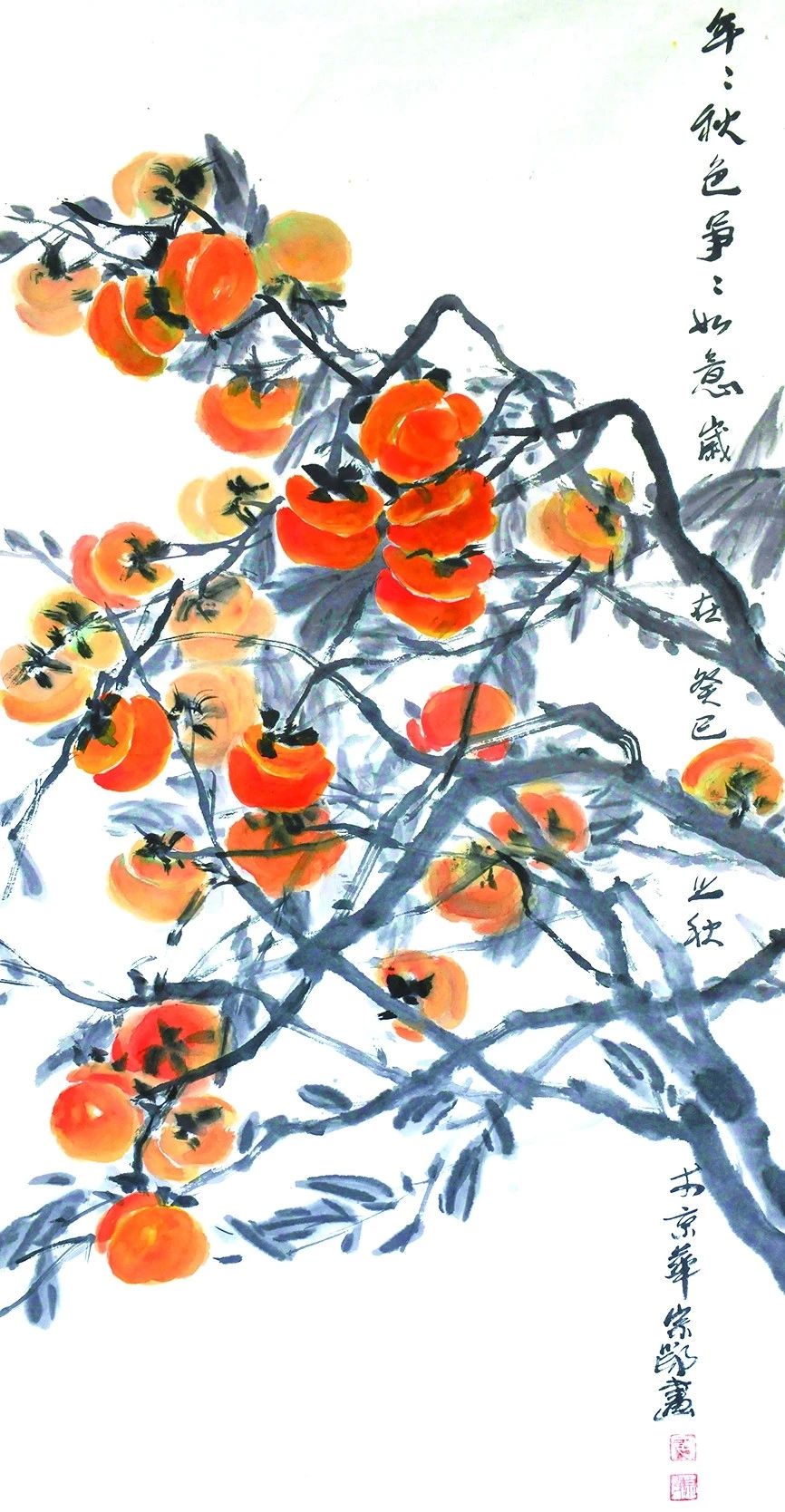 红柿1.jpg