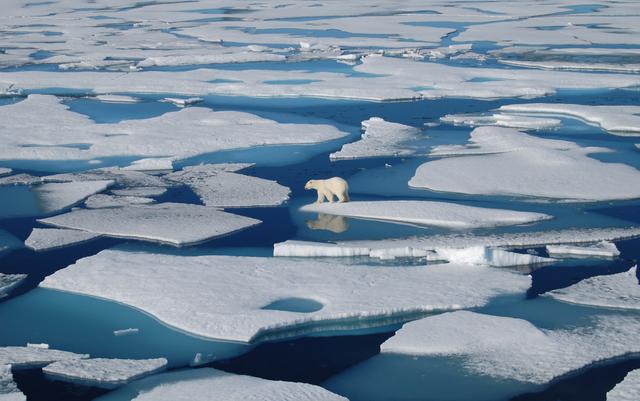 89位科学家警告：格陵兰已融化38000亿吨冰，与最坏预测惊人一致
