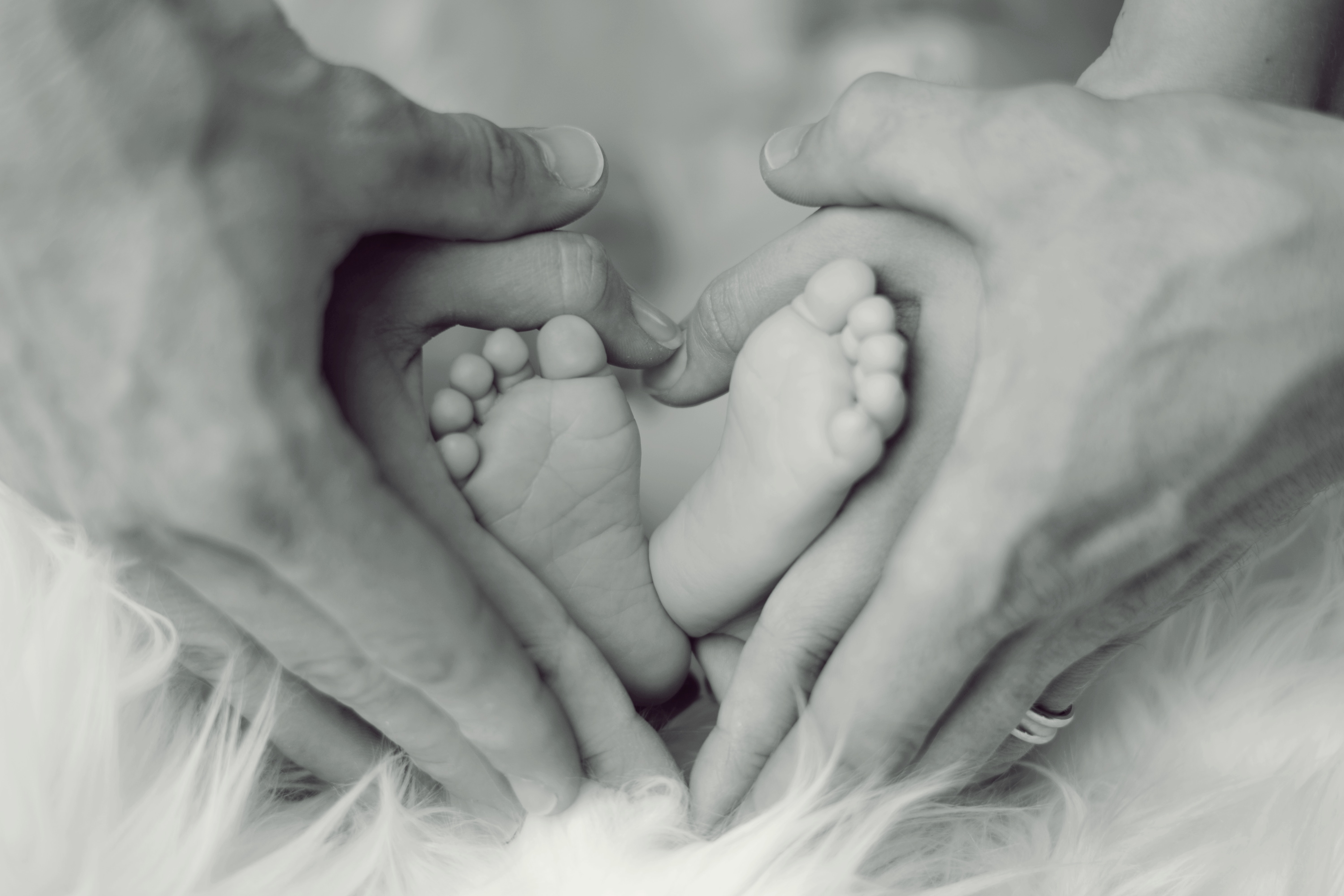 grayscale-photo-of-baby-feet-with-father-and-mother-hands-in-733881.jpg