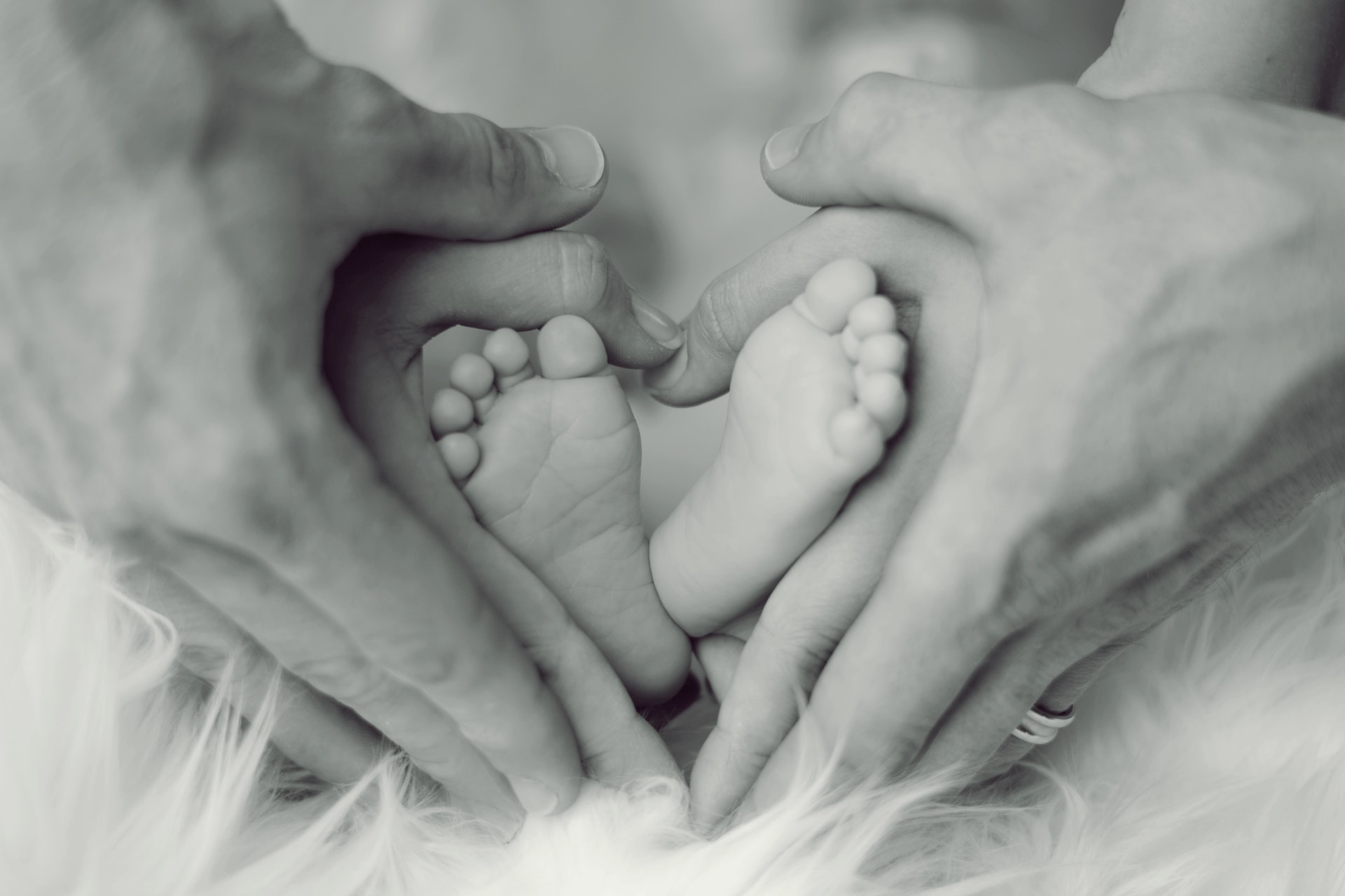 grayscale-photo-of-baby-feet-with-father-and-mother-hands-in-733881.jpg grayscale-photo-of-baby-feet-with-father-and-mother-hands-in-733881.jpg