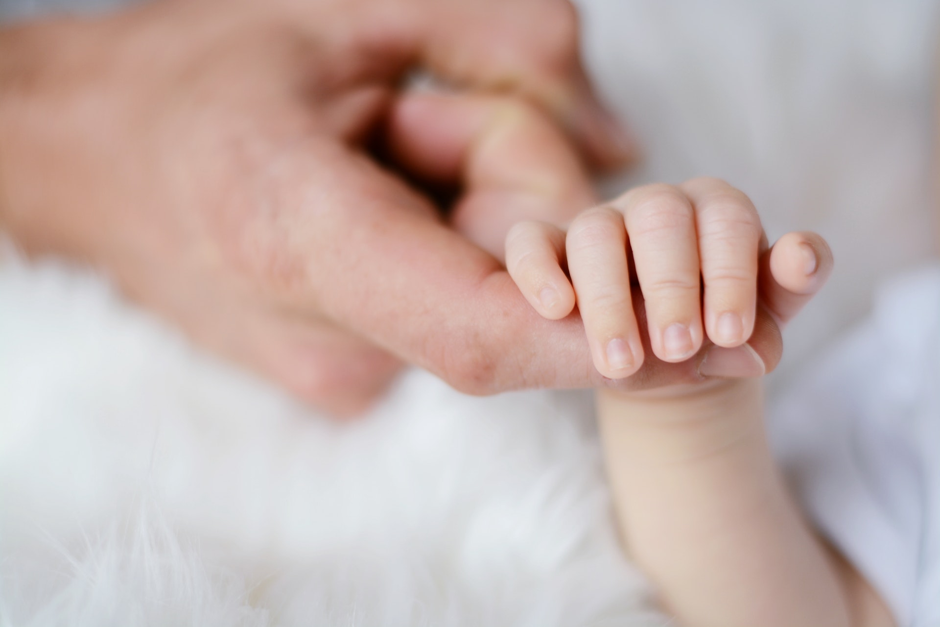 baby-holding-it-s-parent-finger-733880.jpg baby-holding-it-s-parent-finger-733880.jpg