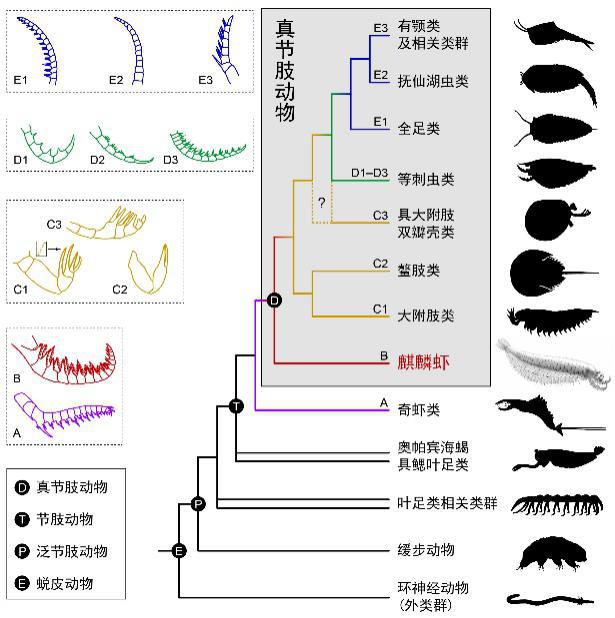 图片4.jpg