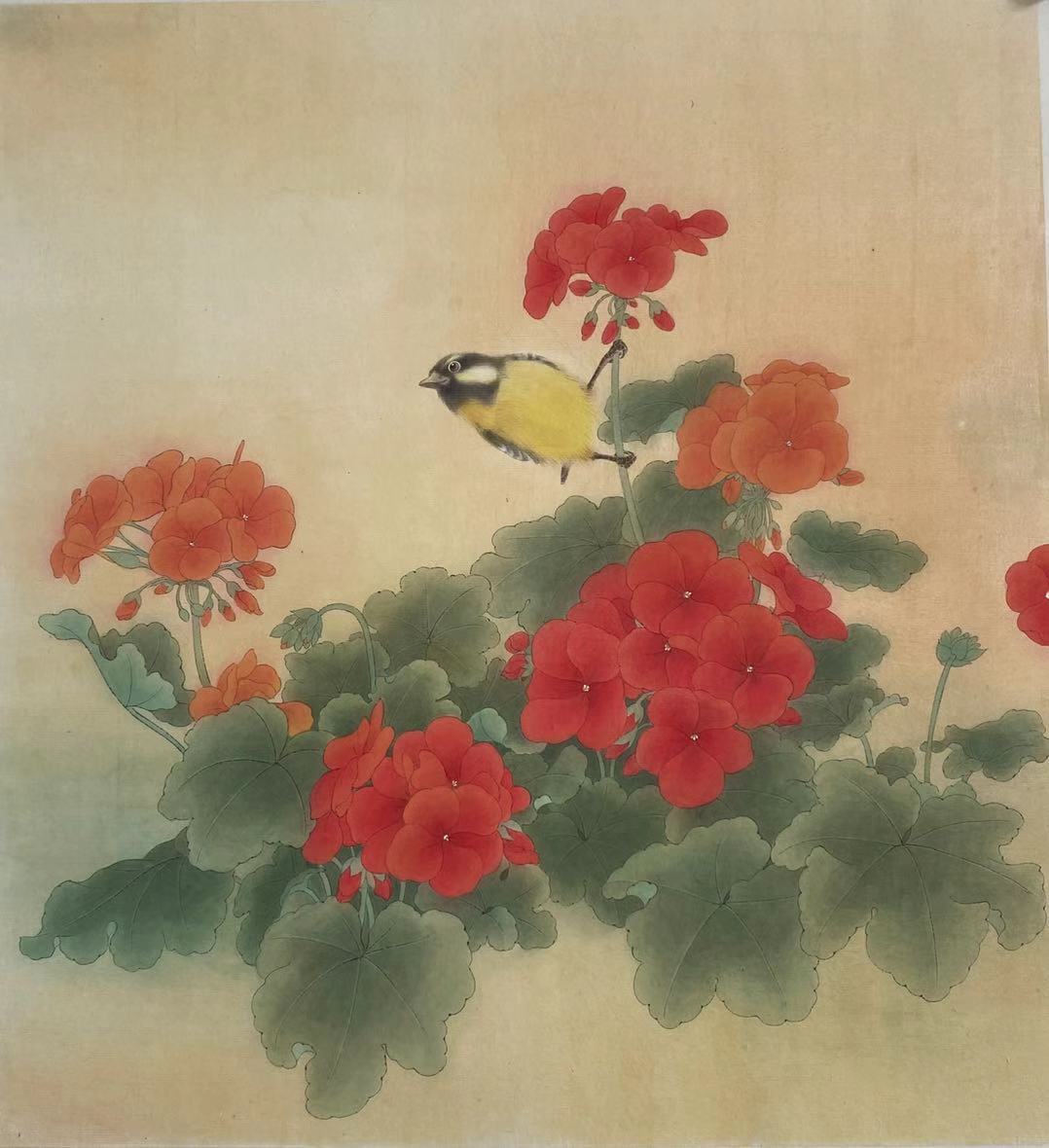 十年，这位上海画家画了100幅花鸟图，与花博会的鸟语花香交相辉映