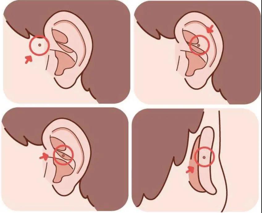 微信图片_20210527215920.jpg 微信图片_20210527215920.jpg