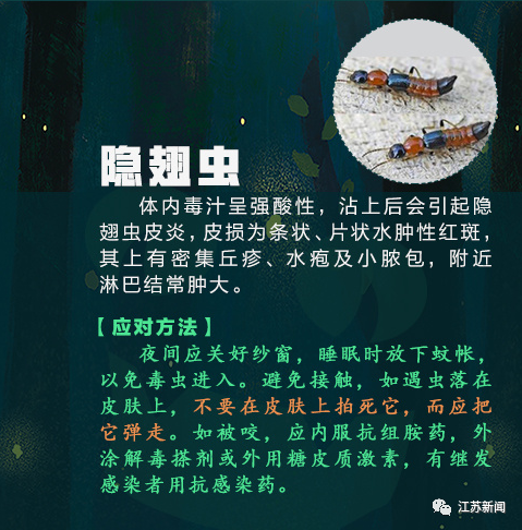 微信图片_20210530143005.png