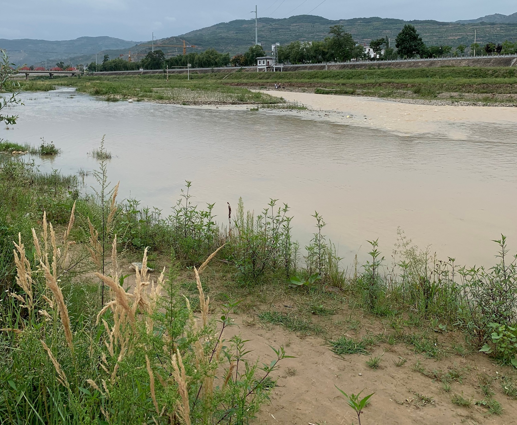 曾1：甘肃礼县的燕子河，《诗经·秦风·蒹葭》描写的，据考证就是这里.jpg