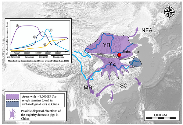 Figure3.jpg