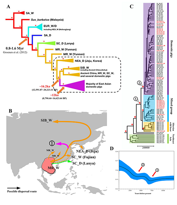 Figure2.jpg