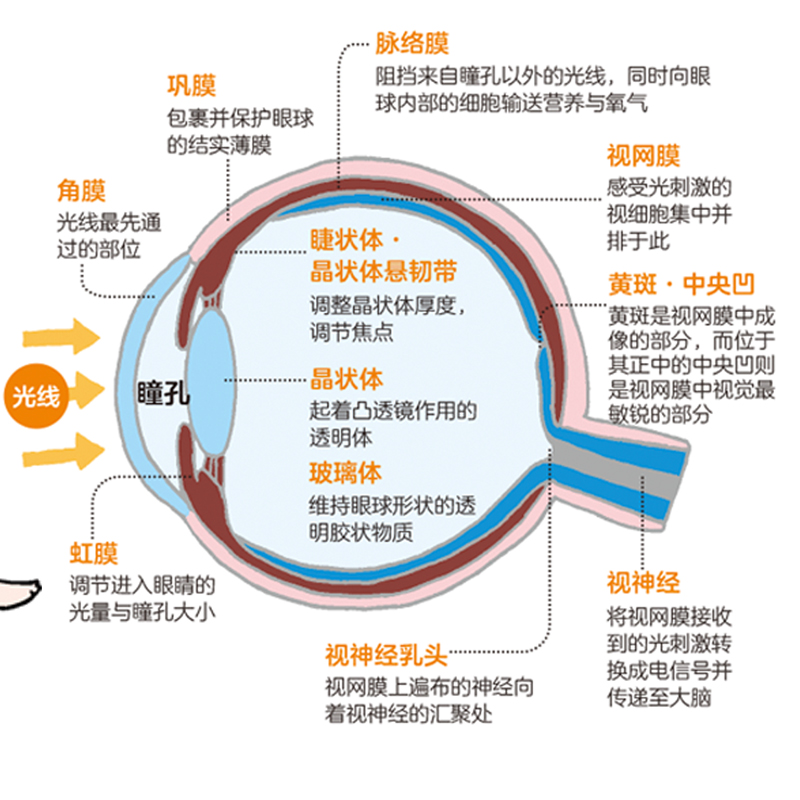 拯救视力2400_09.jpg