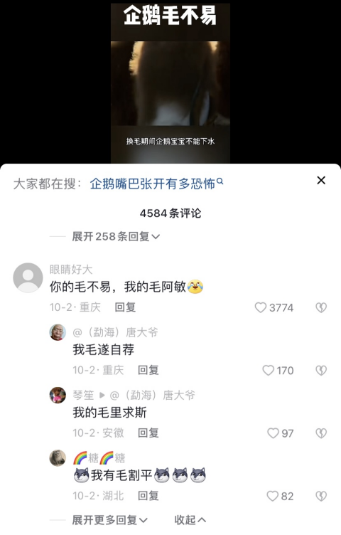 微信图片_20221124215608.png