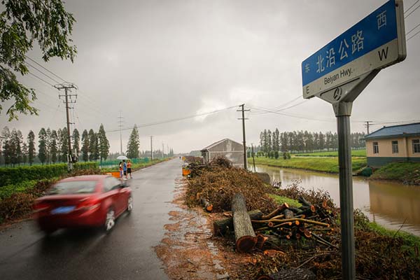 榆树招聘_榆树教育招人的套路 保障教学的秘籍(3)