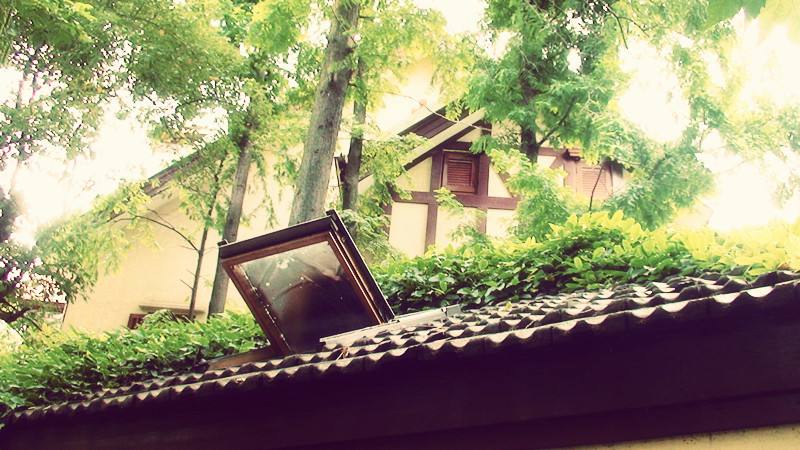 timg (9).jpg timg (9).jpg