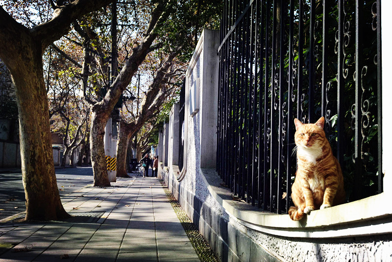 timg (6).jpg timg (6).jpg