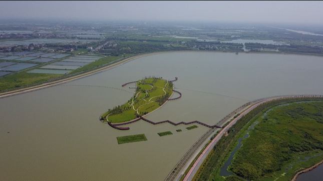 青浦金泽水库市级重要湿地，郁晓冬拍摄_副本.png