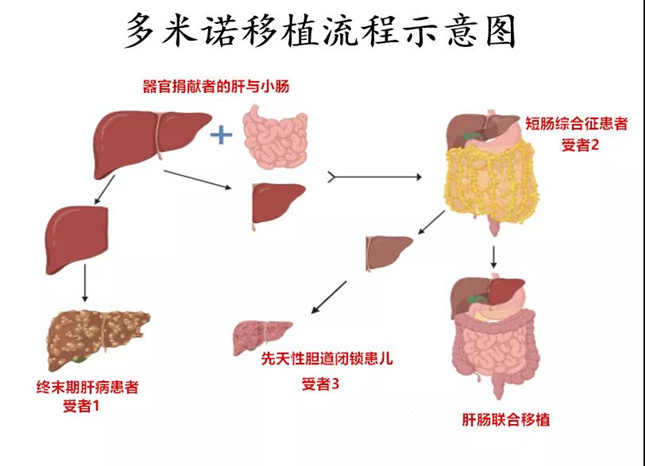 内  13153844_副本.jpg