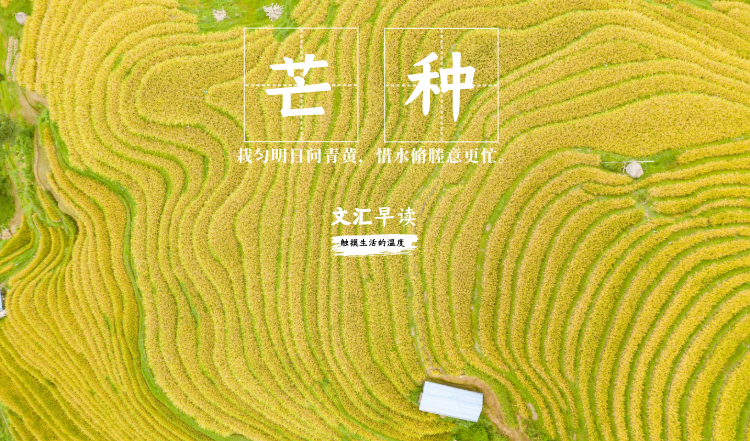 早读封面-二十四节气 (1).png