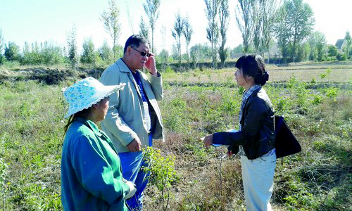 张维理（右）在甘肃进行农田土壤质量百分价评价模型的实地校验。.jpg