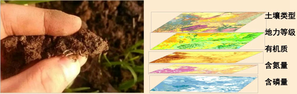 高精度数字土壤能直观、精细展现土壤资源与质量状况，为农业、环境、科学研究提供重要信息。.jpg
