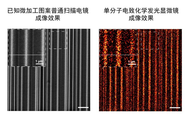 内 813114115_副本.jpg