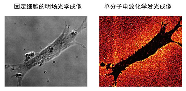 内 13114915_副本.jpg