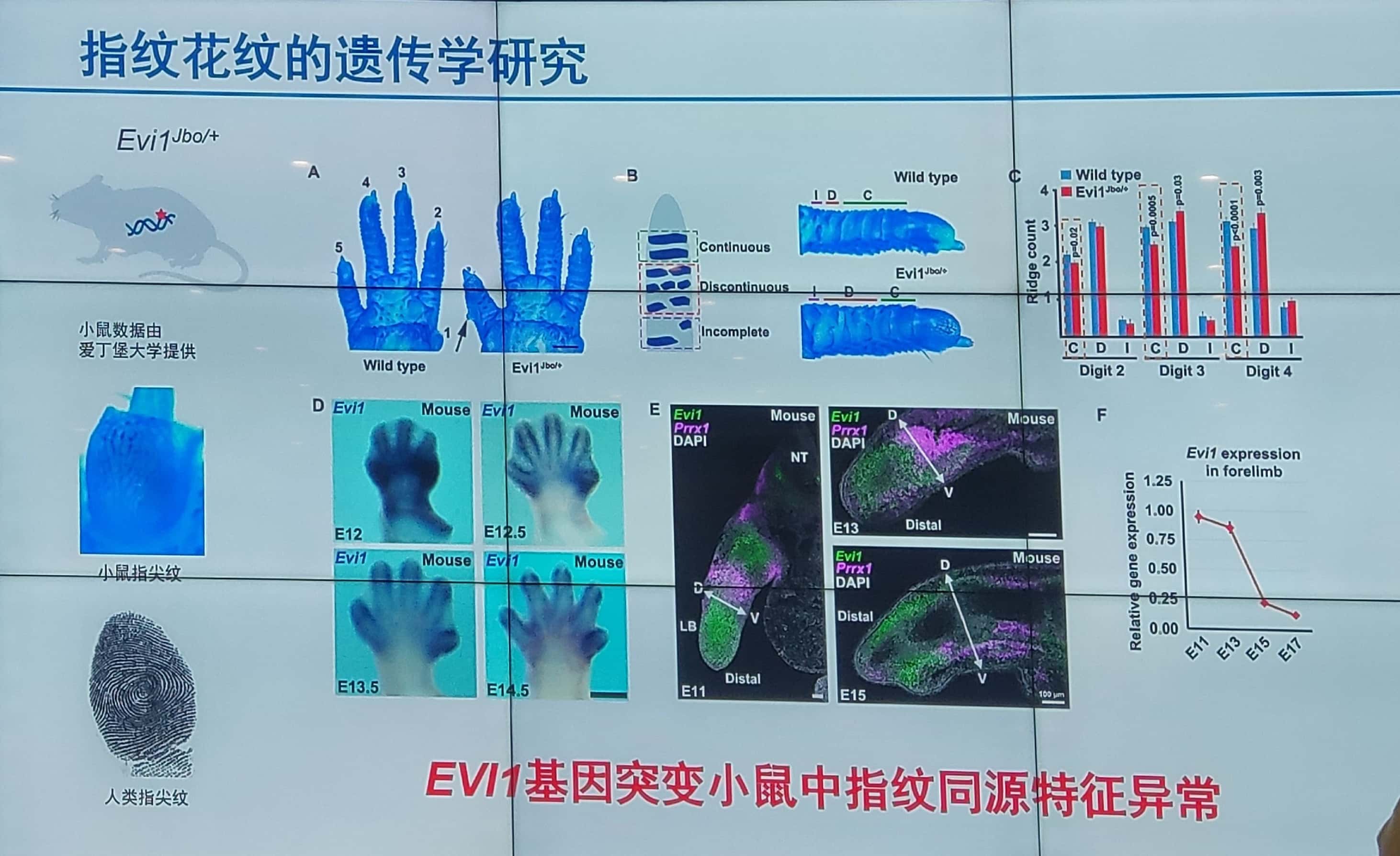 微信图片_20220106181455.jpg