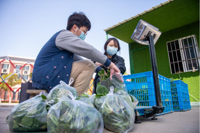 用劳动解决绿叶菜焦虑打造春天的梦想花园疫情中的上海高校师生同上