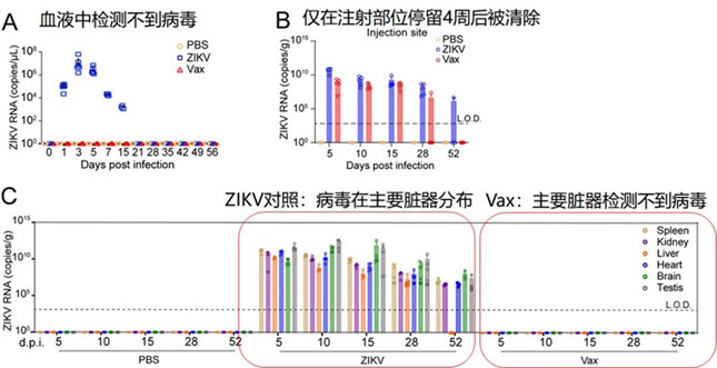 内 4142336_副本.jpg