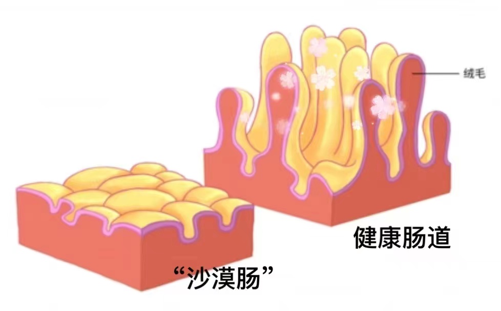 微信图片_20230820122337.jpg