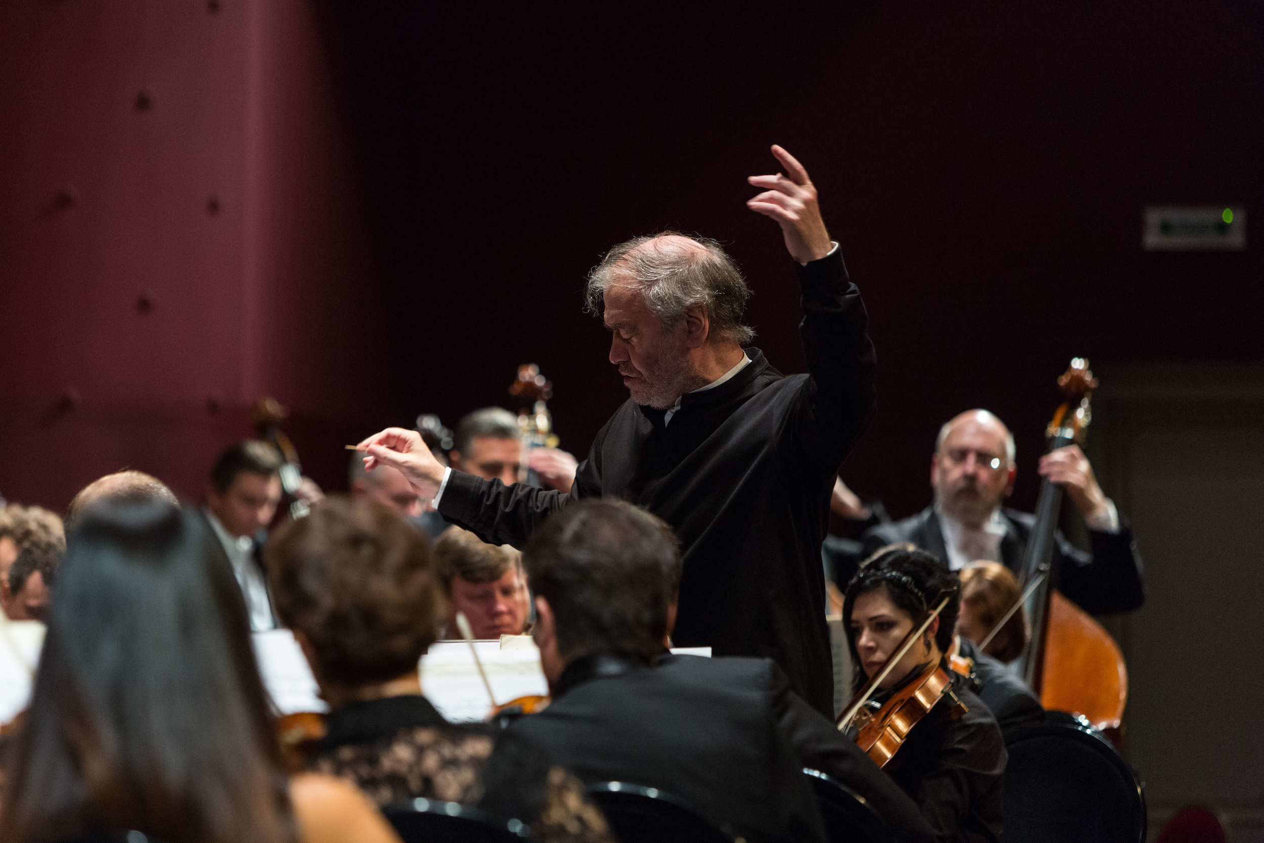 Valery Gergiev, Mariinsky orchestra  ? Alexander Shapunov.JPG